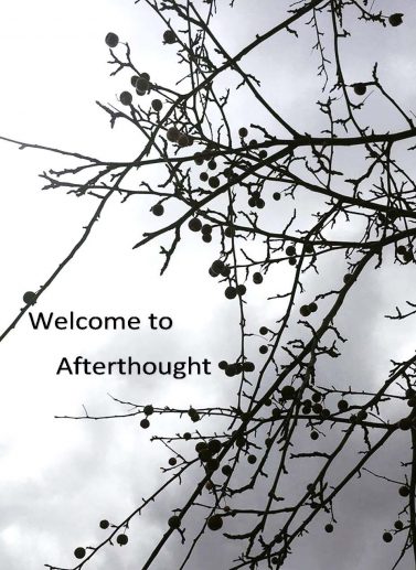 Black and white photo of branches