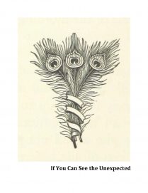 Peacock feather illustration on beige